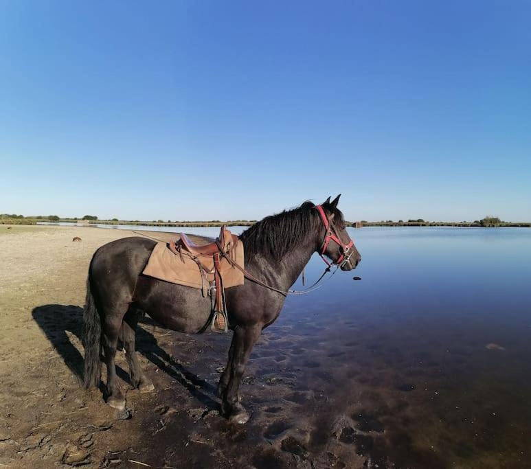Gite A Saint Andre Des Eaux المظهر الخارجي الصورة