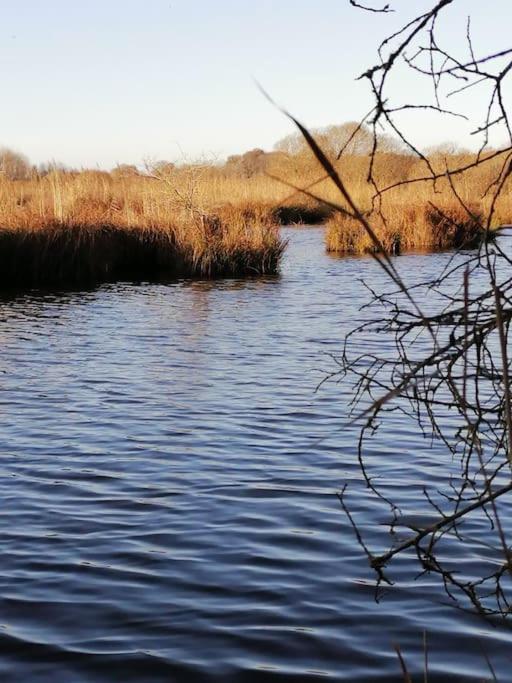 Gite A Saint Andre Des Eaux المظهر الخارجي الصورة