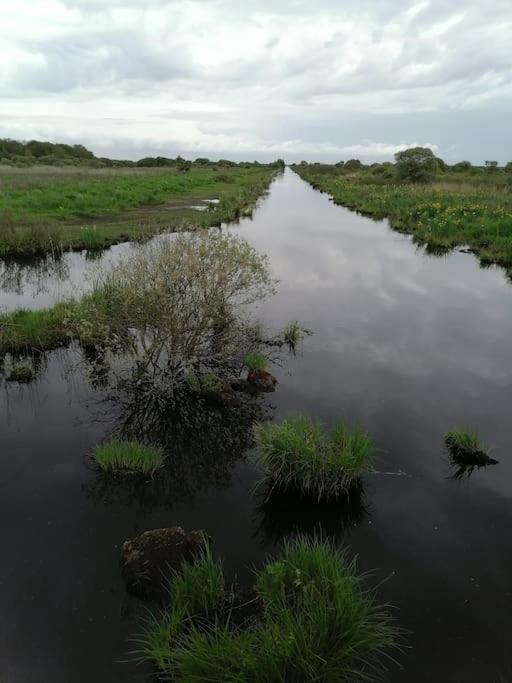 Gite A Saint Andre Des Eaux المظهر الخارجي الصورة